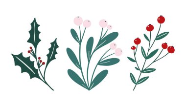 Winter foliage floral elements - set white berry mistletoe, holly berry branch. Festive Christmas flowers clip art in simple hand drawn style isolated on white background. Vector