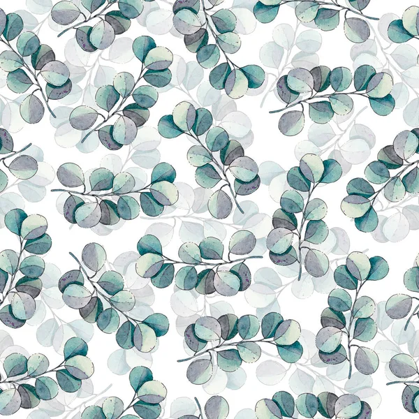 Okaliptüs yapraklı desen. Suluboya kusursuz bir arkaplan. İlkbahar ve yaz çizimleri.