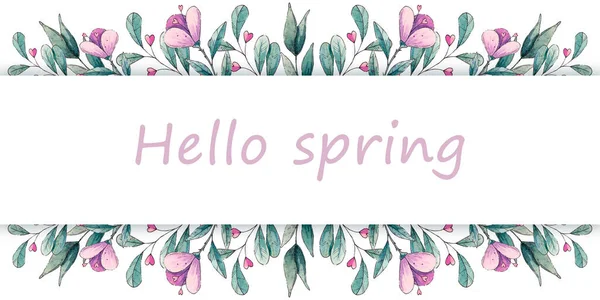 Okaliptüs yaprakları, bahar çiçekleri. Yay yatay arkaplan. Suluboya çizimi.