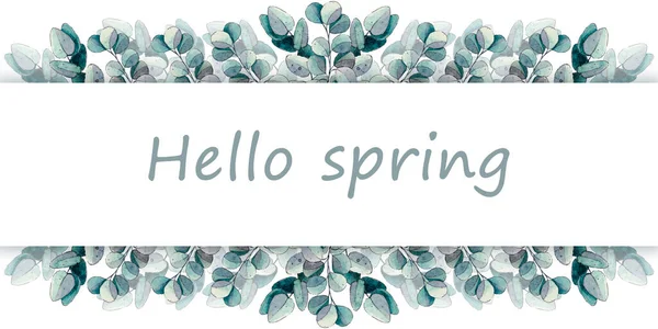 Okaliptüs yaprakları, bahar çiçekleri. Yay yatay arkaplan. Suluboya çizimi.