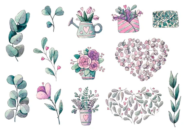 Bahar çiçekleri, yapraklar. Beyaz arkaplanda suluboya elementler.