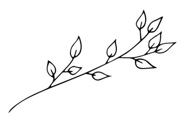 Soyut şekilli yapraklar. Minimalist sanat, modern moda şekilleri. El çizimi vektör kümesi