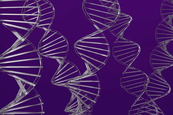 3d render Glass purpe DNA symbol on purple background. Simple minimalism concept, 3d illustration