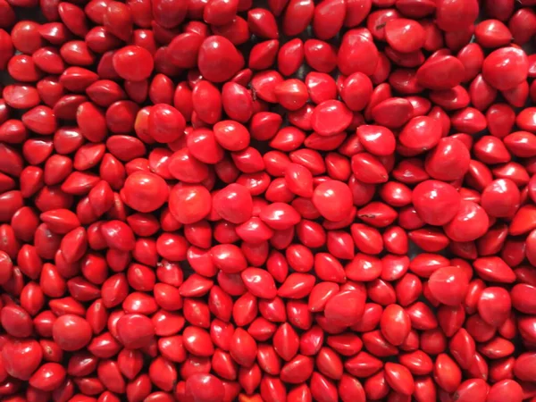 Nasiona Saga Acacia Kolorze Czerwonym — Zdjęcie stockowe