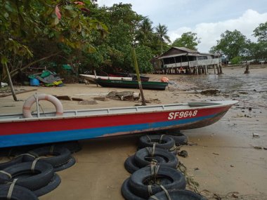 Deniz suyu, deniz kabuğu, deniz suyu, deniz, sahil