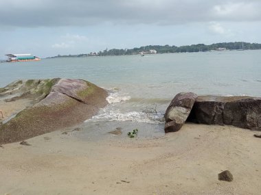 Deniz suyu, deniz kabuğu, deniz suyu, deniz, sahil