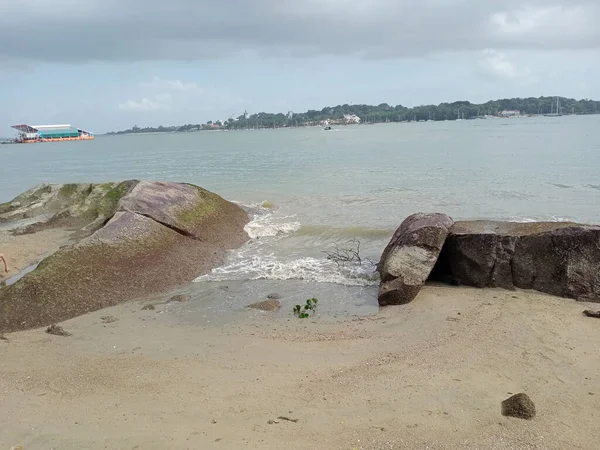 Air Laut Cangkang Air Kehidupan Laut Laut Pantai — Stok Foto