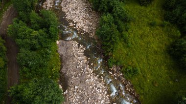 Dağlardaki nehir. Kozalaklı orman. Ukrayna Karpat Dağları.