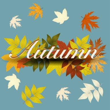   Sonbahar illüstrasyonu. Sonbahar yaprakları yere düşer.