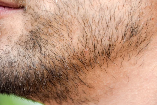 Barba Cara Jovem Barbudo Queixo Masculino Jovem Barbudo Restolho Perto — Fotografia de Stock