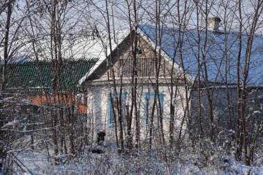 Kışın ağaçların arkasında köy evi. Ormanda kış, terk edilmiş ev..