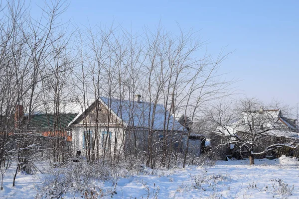 Wiejski Dom Zimie Drzewami Zima Lesie Pusty Opuszczony Dom — Zdjęcie stockowe