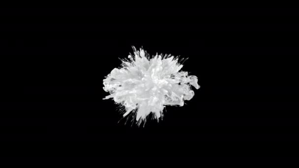 Barva výbuch bílý kouř prášek shockwave výbuch kapalina inkoust částice alfa — Stock video