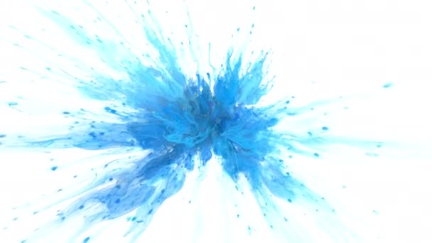 Χρώμα έκρηξη - πολύχρωμο σκόνη καπνού έκρηξη ρευστών σωματιδίων μελάνης άλφα ματ Βίντεο Αρχείου