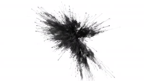 Color Burst - poudre de fumée noire explosion particules d'encre liquide alpha mat — Video