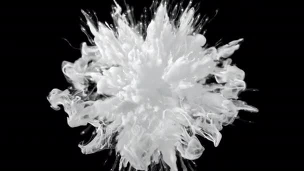 Renk patlaması beyaz duman tozu şok dalgası sıvı mürekkep parçacıkları alfa Telifsiz Stok Video