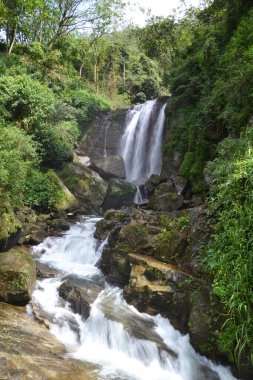 Sri Lanka 'daki dağlarda güzel bir şelale