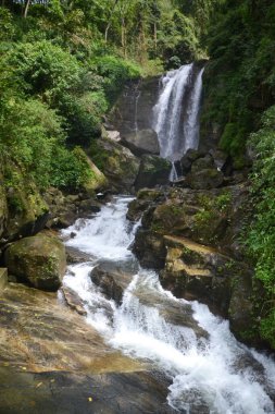 Sri Lanka 'daki dağlarda güzel bir şelale