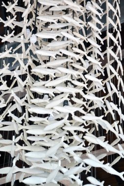 Beyaz balıklar arka plan ve doku oluşturmak için