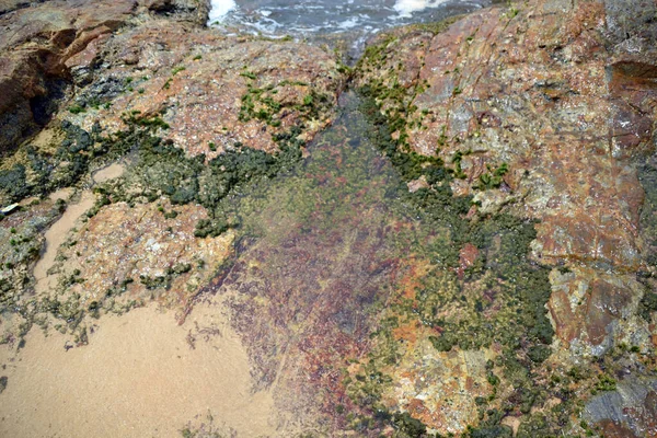 Arkaplan ve doku oluşturmak için kabuk