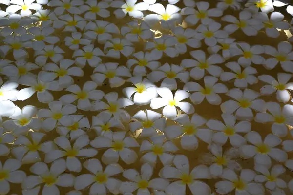 Arkaplan ve doku oluşturmak için kabuk