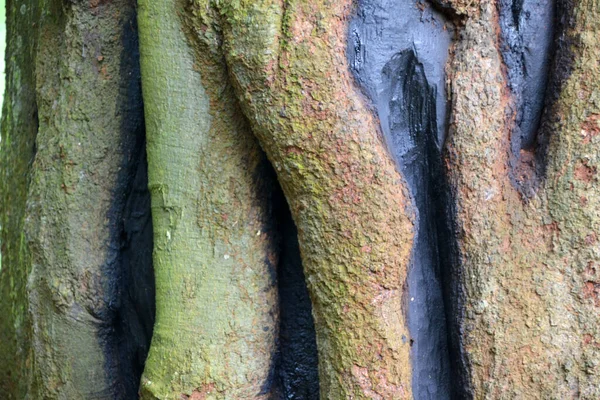 Arkaplan ve doku oluşturmak için kabuk