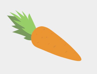 Vector illustration of a carrot vegetal.