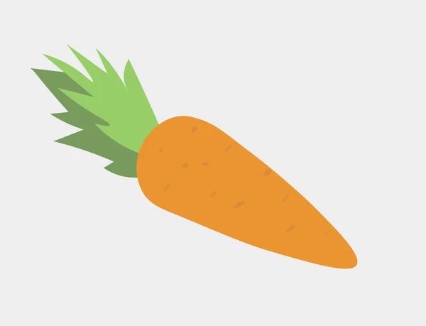 Vector Illustration Carrot Vegetal — Vector de stock