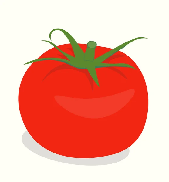 Flat Desing Realistic Tomato — Archivo Imágenes Vectoriales