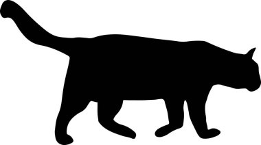 Siyah bir kedinin yürüme silueti.