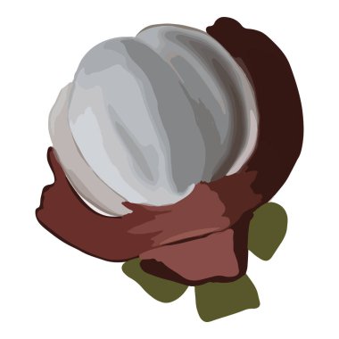 İçinde rengarenk meyveler var. 