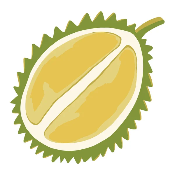 Metà della frutta durian frutta esotica — Vettoriale Stock