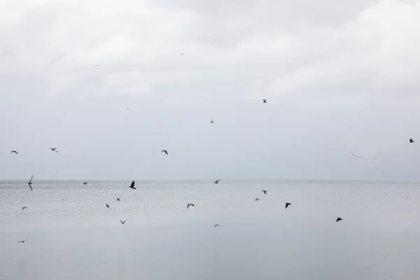 Arnavutluk dağları, göller, doğa ve deniz manzaraları