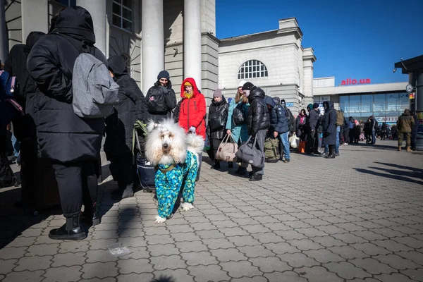 Dnipro, Ukrayna - 12 Mart 2022 Tren İstasyonu, Yardım, Mülteciler, kuyruk, insanlar, aileler, çocuklar, bekleme, insani yardım, çadır, tahliye, köpek