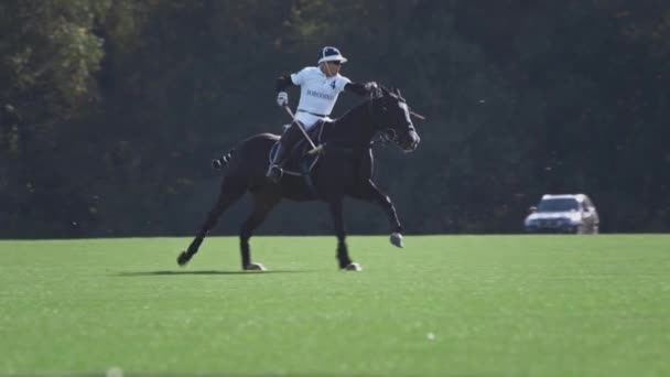 UFA RUSIA - 05.09.2021: Jugador líder de polo a caballo. Golpea una bola blanca con un palo de madera. Un partido de campeonato o entrenamiento en un club de polo. — Vídeo de stock