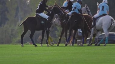 UFA RUSSIA - 05.09.2021: Polo oyunu, yavaş çekim. At sırtında iki takım uzun saplı tahta bir topa vuruyor, kavga ediyorlar.