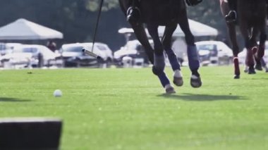 Polo oyunu, ağır çekim. Oyuncular uzun saplı tahta bir çekiç tutuyor. Sürücü topa başarılı bir vuruş yapıyor, topu sürüyor.