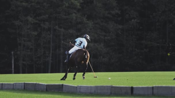 UFA RUSIA - 05.09.2021: Jugador líder de polo a caballo. Golpea una bola blanca con un palo de madera. Un partido de campeonato o entrenamiento en un club de polo. — Vídeo de stock