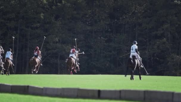 UFA RUSIA - 05.09.2021: Juego de polo, cámara lenta. Dos equipos de jugadores montan caballos en un estadio de hierba verde. Golpearon la pelota.. — Vídeos de Stock