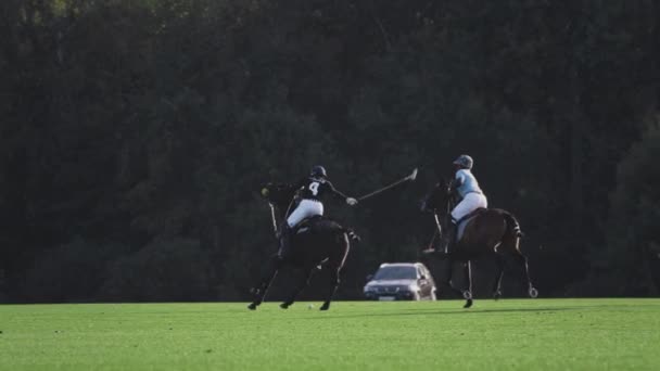 UFA RUSIA - 05.09.2021: Juego de polo, cámara lenta. Dos equipos de jugadores montan caballos en un estadio de hierba verde. Golpearon la pelota.. — Vídeo de stock