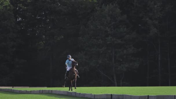 UFA RUSSIA - 05.09.2021 : Joueur de polo leader à cheval. Frappe une balle blanche avec un bâton de bois. Un match de championnat ou un entraînement dans un club de polo. — Video