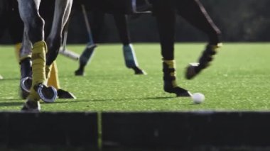 Polo oyunu, ağır çekim. Oyuncular uzun saplı tahta bir çekiç tutuyor. Sürücü başarılı bir vuruş yapıyor, topu sürüyor.