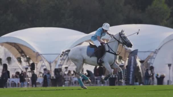 UFA RUSSIA - 05.09.2021: 폴로 게임, 느린 동작. 말을 탄 사람은 흰 공처럼 길게 다져진 나무 망치를 맞춘다. 공을 차라 — 비디오