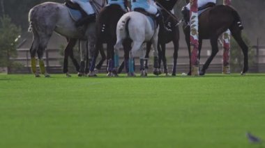 UFA RUSSIA - 05.09.2021: Polo oyunu, yavaş çekim. At sırtında iki takım uzun saplı tahta bir topa vuruyor, kavga ediyorlar.