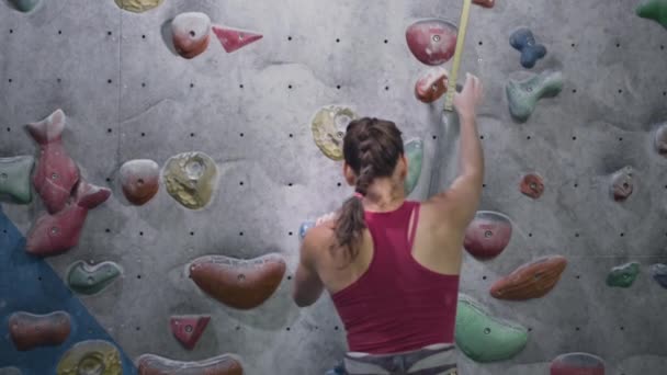 Sport athletic woman climbing rock climbing wall, practicing solo in indoor gym. An experienced girl is wearing a safety cable and magnesium — Stock Video