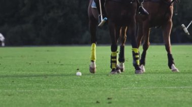 Polo maçı, iki takım ağır çekimde at sırtında. At biniciliği. Çimlerde polo, stadyumda binicilik sporları