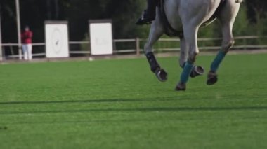 Polo oyunu, ağır çekimde at sırtındaki kız. At biniciliği. Çimlerde polo, stadyumda binicilik sporları. At bacakları.