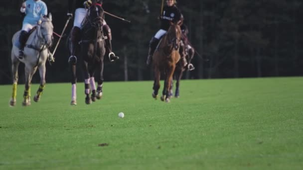 UFA RUSSIA - 05.09.2021: Jogo de pólo, duas equipes a cavalo em câmera lenta. Passeios a cavalo. Polo na arena de grama, esportes equestres no estádio — Vídeo de Stock