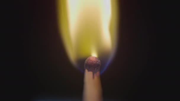 Matchstick with fire on the tip. Matchstick fires on Matchbox in macro slowmo. Macro Shot of Igniting Match against Black Background. Burning match — Stock Video