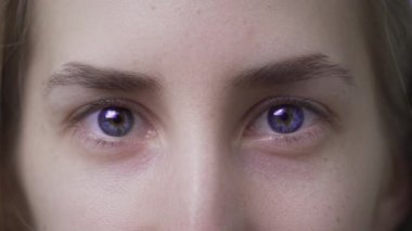 Blue eyes of a beautiful girl. The white woman opens her eyes. Lovely clean young face. Close-up of attractive Caucasian eyebrows